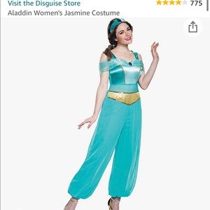 Princess Jasmine costume. Size large. Wore once. Includes headband